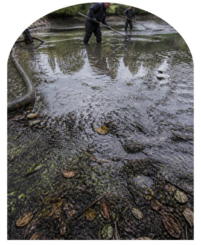 Очистка пруда в Белгороде от ила мусора и водорослей с вывозом